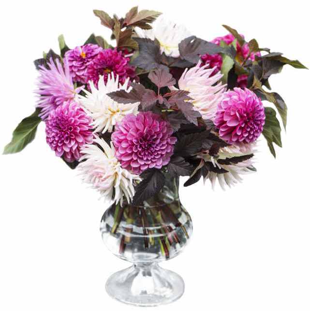 Holmegaard Old English Vase H24 cm, Klar Vaser Hjem.dk